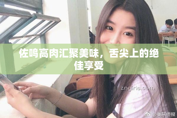 佐鸣高肉汇聚美味，舌尖上的绝佳享受