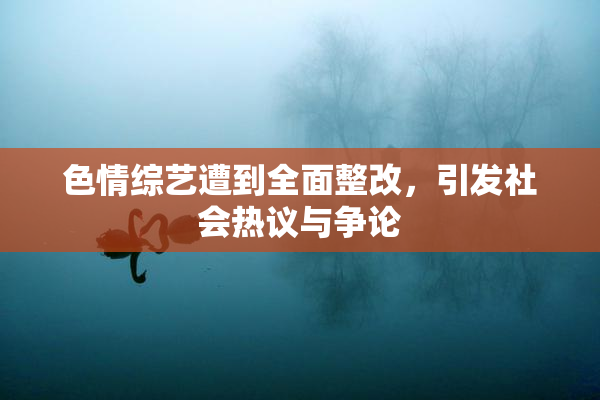 色情综艺遭到全面整改，引发社会热议与争论