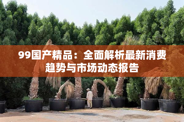 99国产精品：全面解析最新消费趋势与市场动态报告