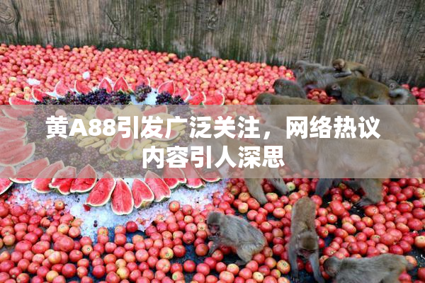 黄A88引发广泛关注，网络热议内容引人深思