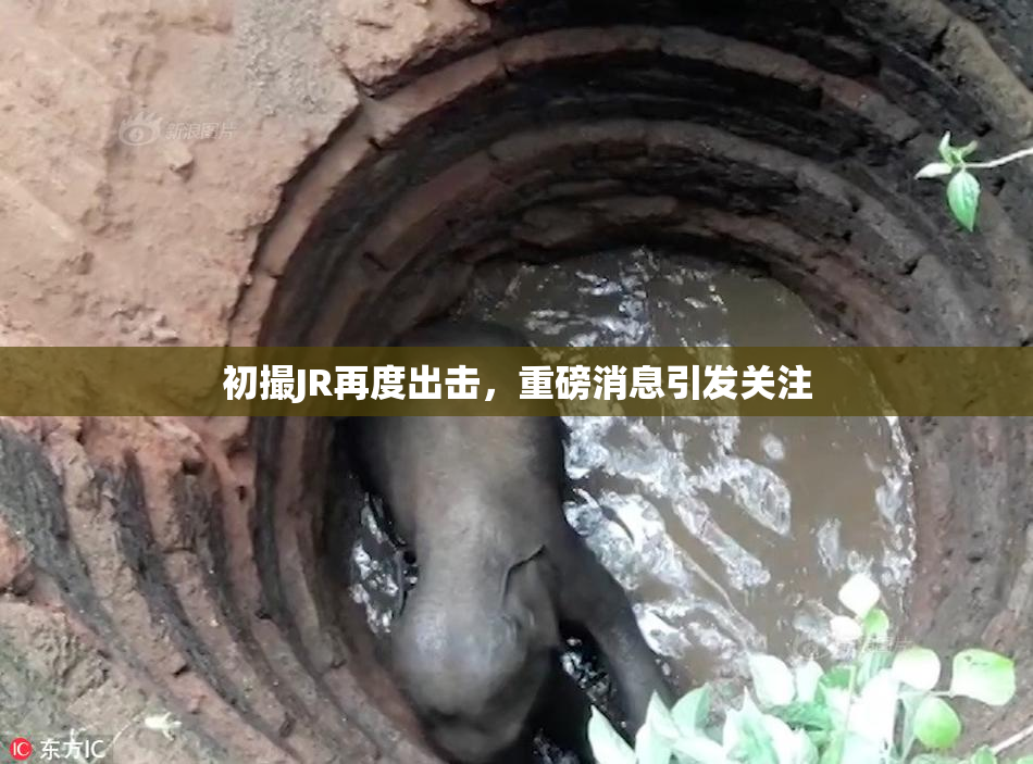 初撮JR再度出击，重磅消息引发关注