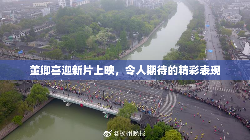 董卿喜迎新片上映，令人期待的精彩表现