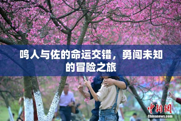 鸣人与佐的命运交错，勇闯未知的冒险之旅