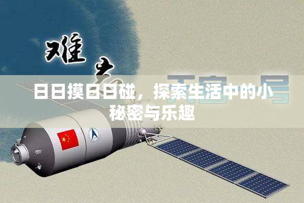 日日摸日日碰，探索生活中的小秘密与乐趣