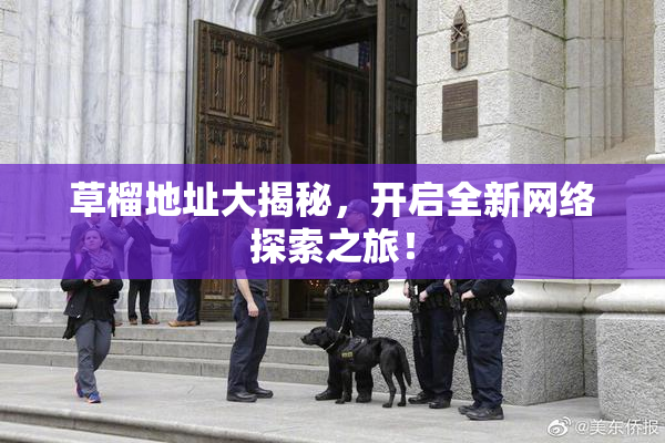 草榴地址大揭秘，开启全新网络探索之旅！