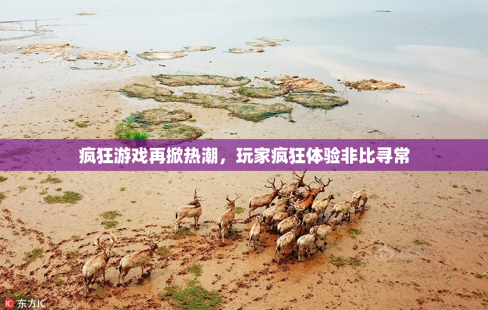 疯狂游戏再掀热潮，玩家疯狂体验非比寻常