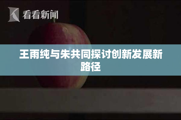 王雨纯与朱共同探讨创新发展新路径