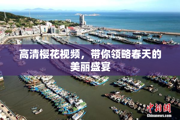 高清樱花视频，带你领略春天的美丽盛宴