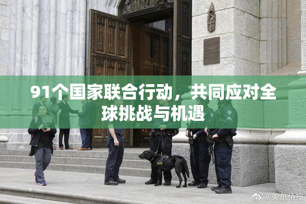 91个国家联合行动，共同应对全球挑战与机遇