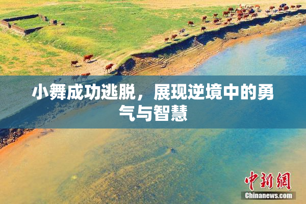 小舞成功逃脱，展现逆境中的勇气与智慧