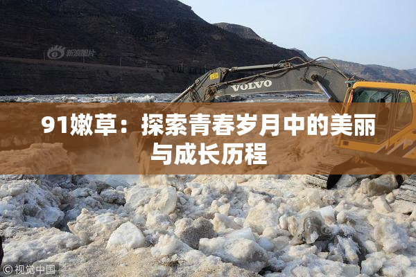 91嫩草：探索青春岁月中的美丽与成长历程