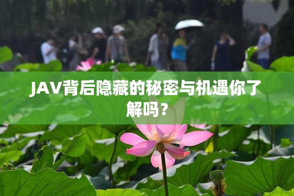 JAV背后隐藏的秘密与机遇你了解吗？