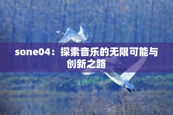 sone04：探索音乐的无限可能与创新之路