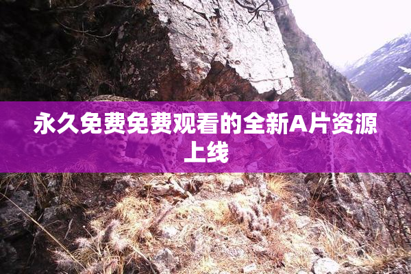 永久免费免费观看的全新A片资源上线