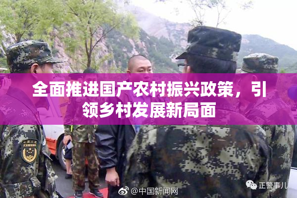 全面推进国产农村振兴政策，引领乡村发展新局面