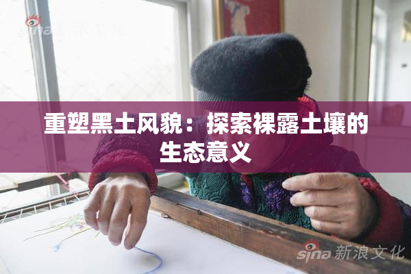 重塑黑土风貌：探索裸露土壤的生态意义