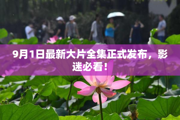 9月1日最新大片全集正式发布，影迷必看！