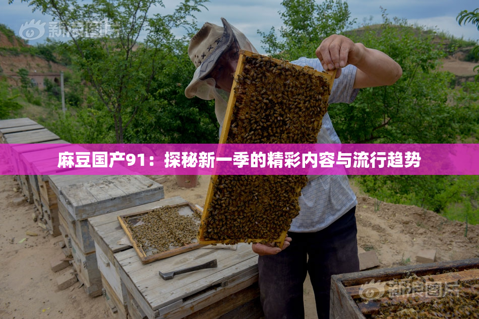 麻豆国产91：探秘新一季的精彩内容与流行趋势