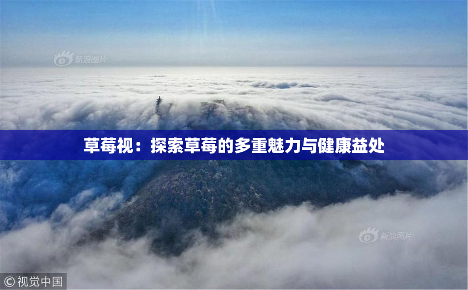 草莓视：探索草莓的多重魅力与健康益处