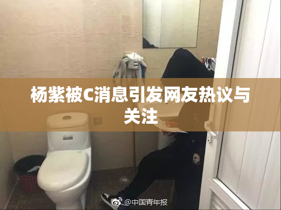 杨紫被C消息引发网友热议与关注