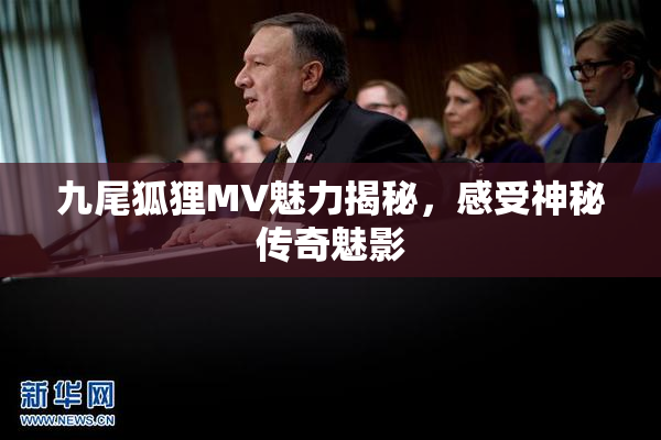 九尾狐狸MV魅力揭秘，感受神秘传奇魅影