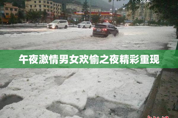 午夜激情男女欢愉之夜精彩重现