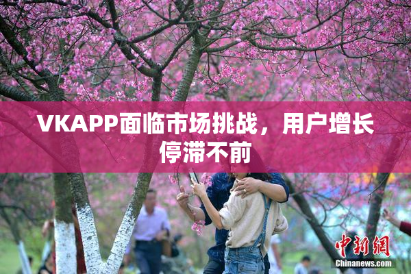 VKAPP面临市场挑战，用户增长停滞不前