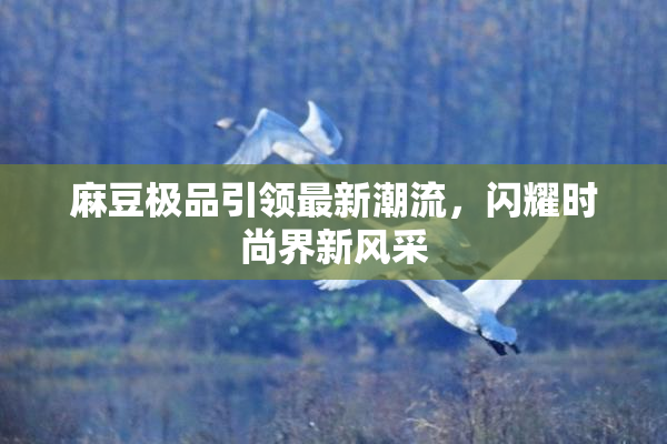 麻豆极品引领最新潮流，闪耀时尚界新风采