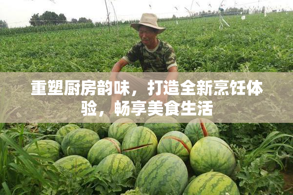 重塑厨房韵味，打造全新烹饪体验，畅享美食生活