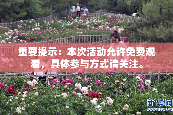 重要提示：本次活动允许免费观看，具体参与方式请关注。