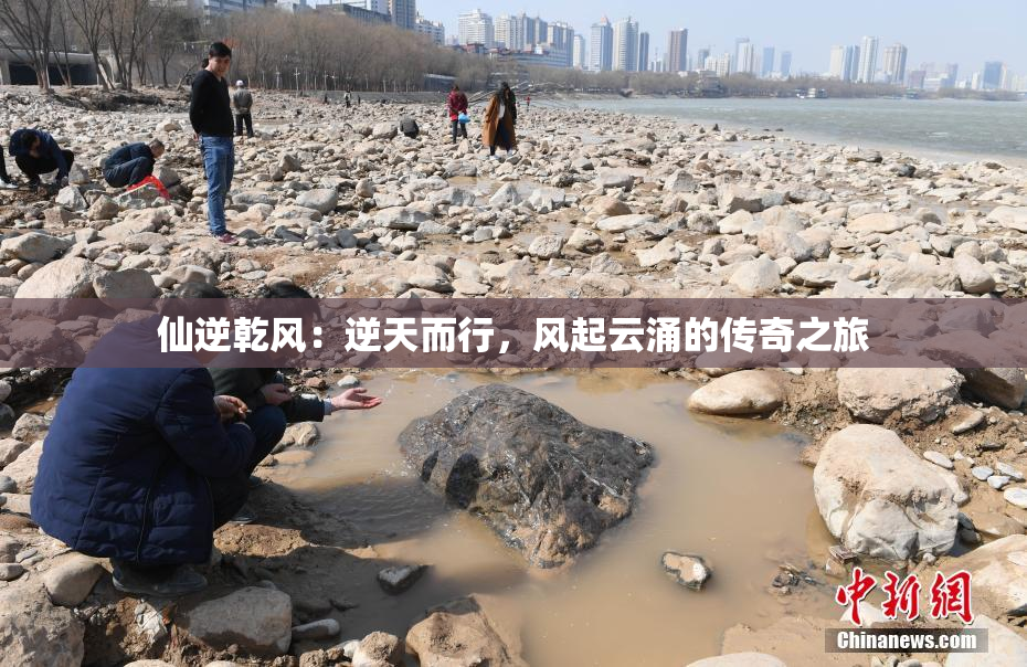 仙逆乾风：逆天而行，风起云涌的传奇之旅