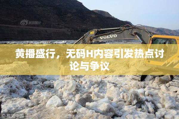 黄播盛行，无码H内容引发热点讨论与争议