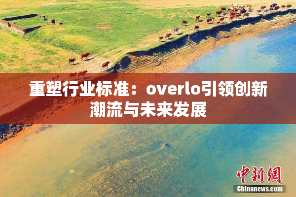 重塑行业标准：overlo引领创新潮流与未来发展