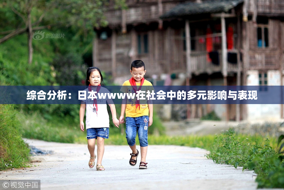 综合分析：日本wwww在社会中的多元影响与表现