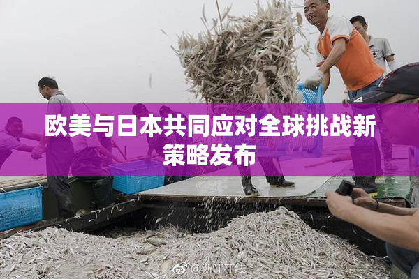 欧美与日本共同应对全球挑战新策略发布