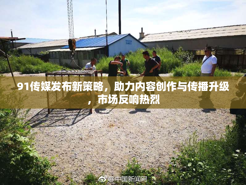 91传媒发布新策略，助力内容创作与传播升级，市场反响热烈
