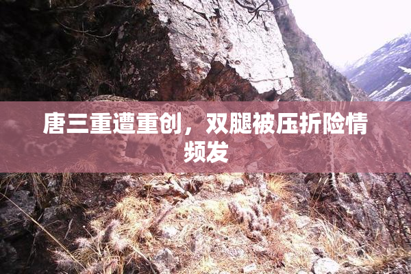 唐三重遭重创，双腿被压折险情频发