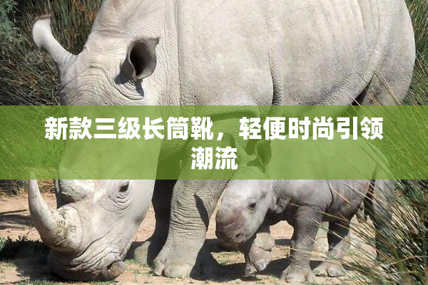 新款三级长筒靴，轻便时尚引领潮流