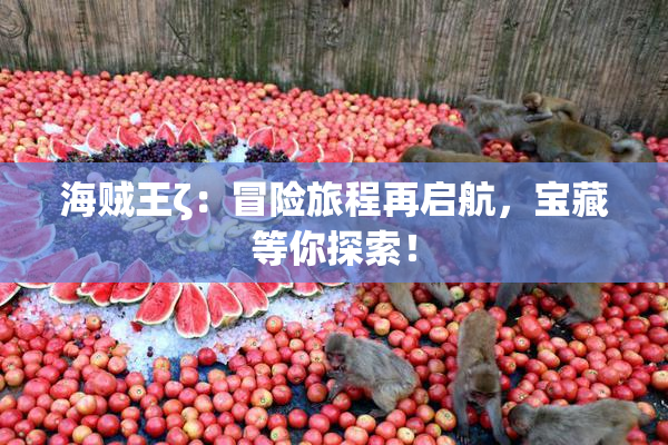 海贼王ζ：冒险旅程再启航，宝藏等你探索！
