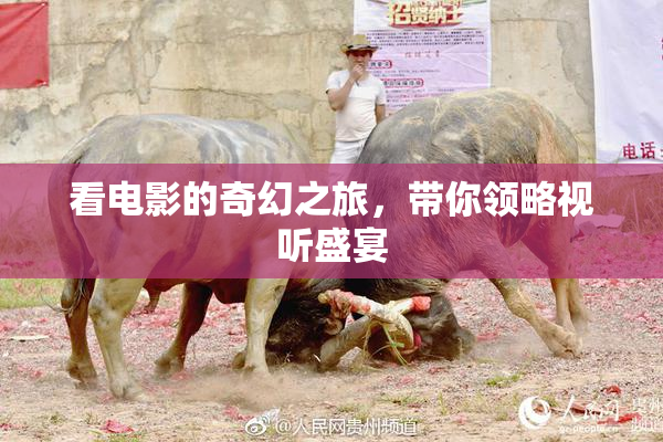 看电影的奇幻之旅，带你领略视听盛宴