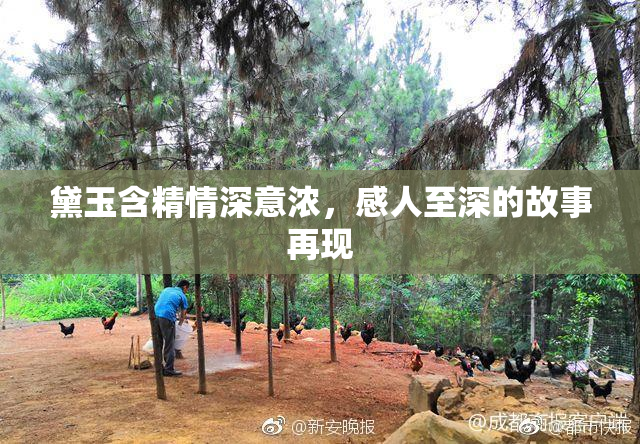 黛玉含精情深意浓，感人至深的故事再现