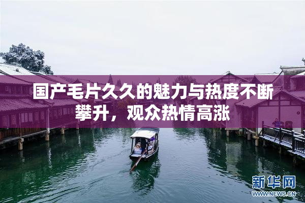 国产毛片久久的魅力与热度不断攀升，观众热情高涨