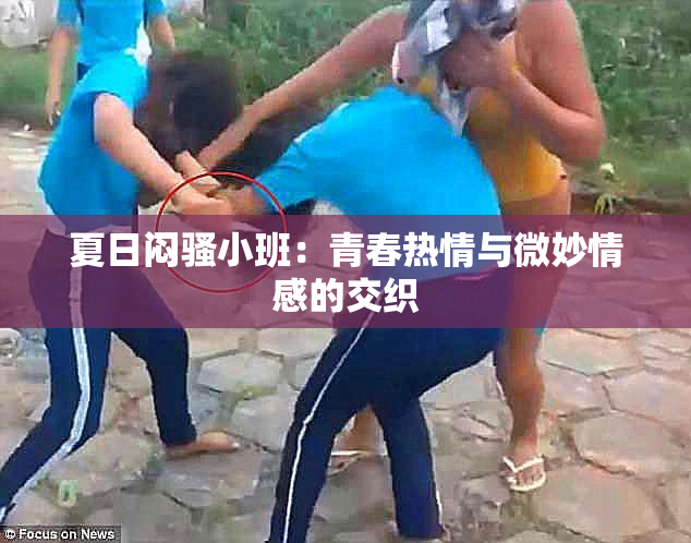 夏日闷骚小班：青春热情与微妙情感的交织
