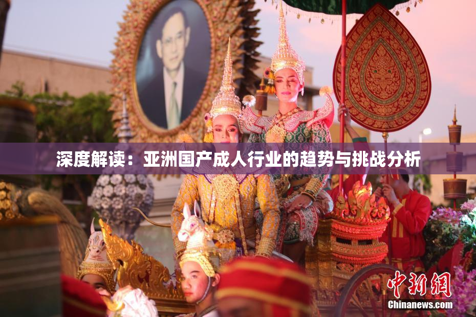 深度解读：亚洲国产成人行业的趋势与挑战分析