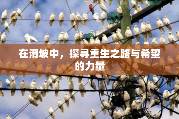 在滑坡中，探寻重生之路与希望的力量