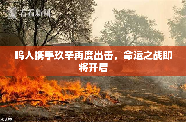 鸣人携手玖辛再度出击，命运之战即将开启