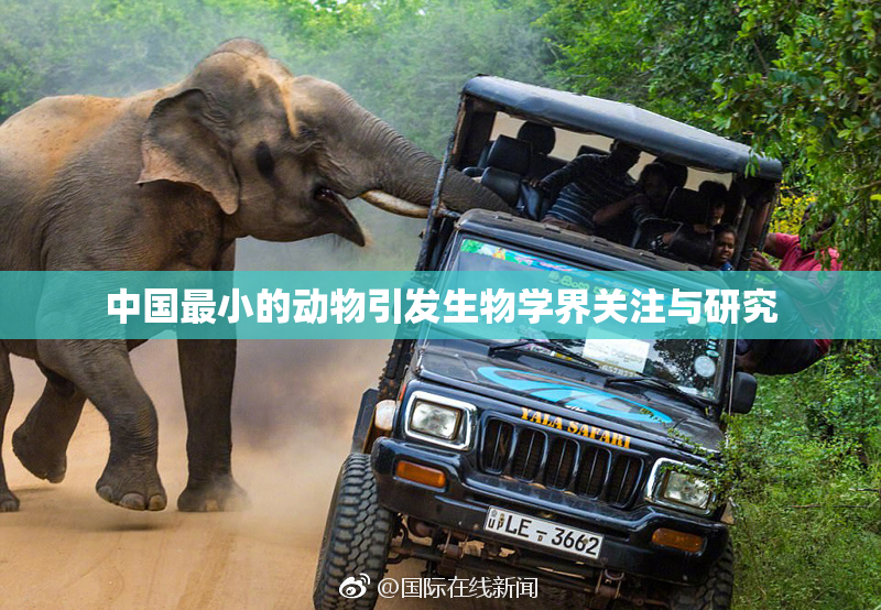 中国最小的动物引发生物学界关注与研究