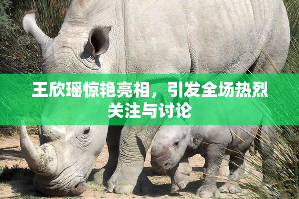王欣瑶惊艳亮相，引发全场热烈关注与讨论