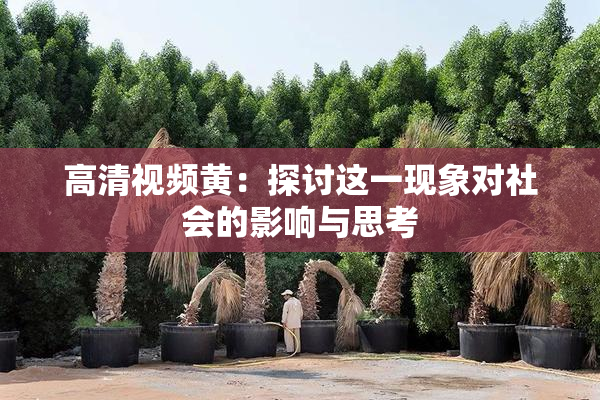 高清视频黄：探讨这一现象对社会的影响与思考