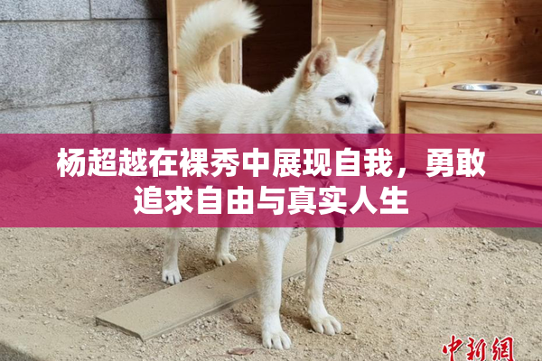 杨超越在裸秀中展现自我，勇敢追求自由与真实人生